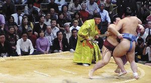 Do Japonska na sumó