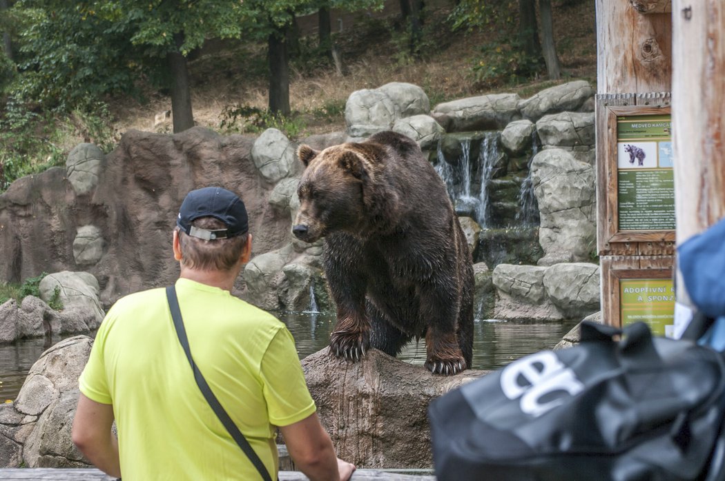 Superlife Columbia závod brněnskou zoo