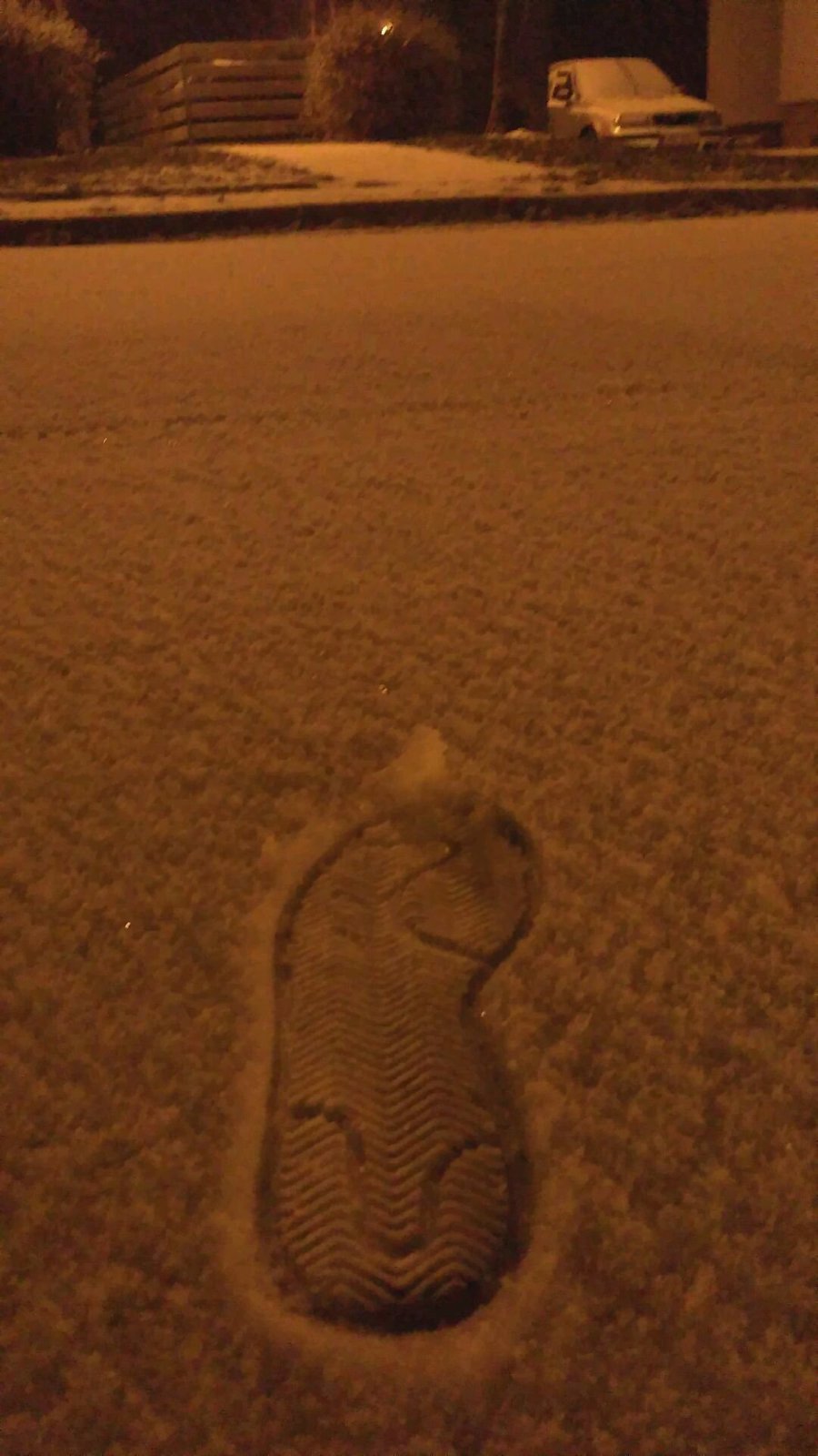 Radek Novotný - Večerní procházka - první sníh