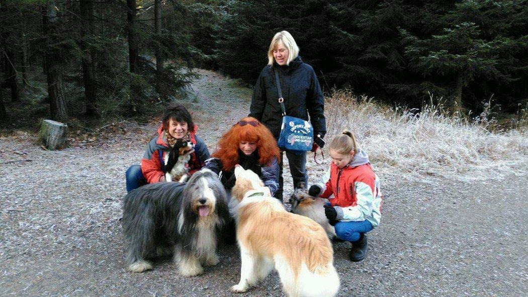 Radka Fürstová - Odpolední procházka se psy