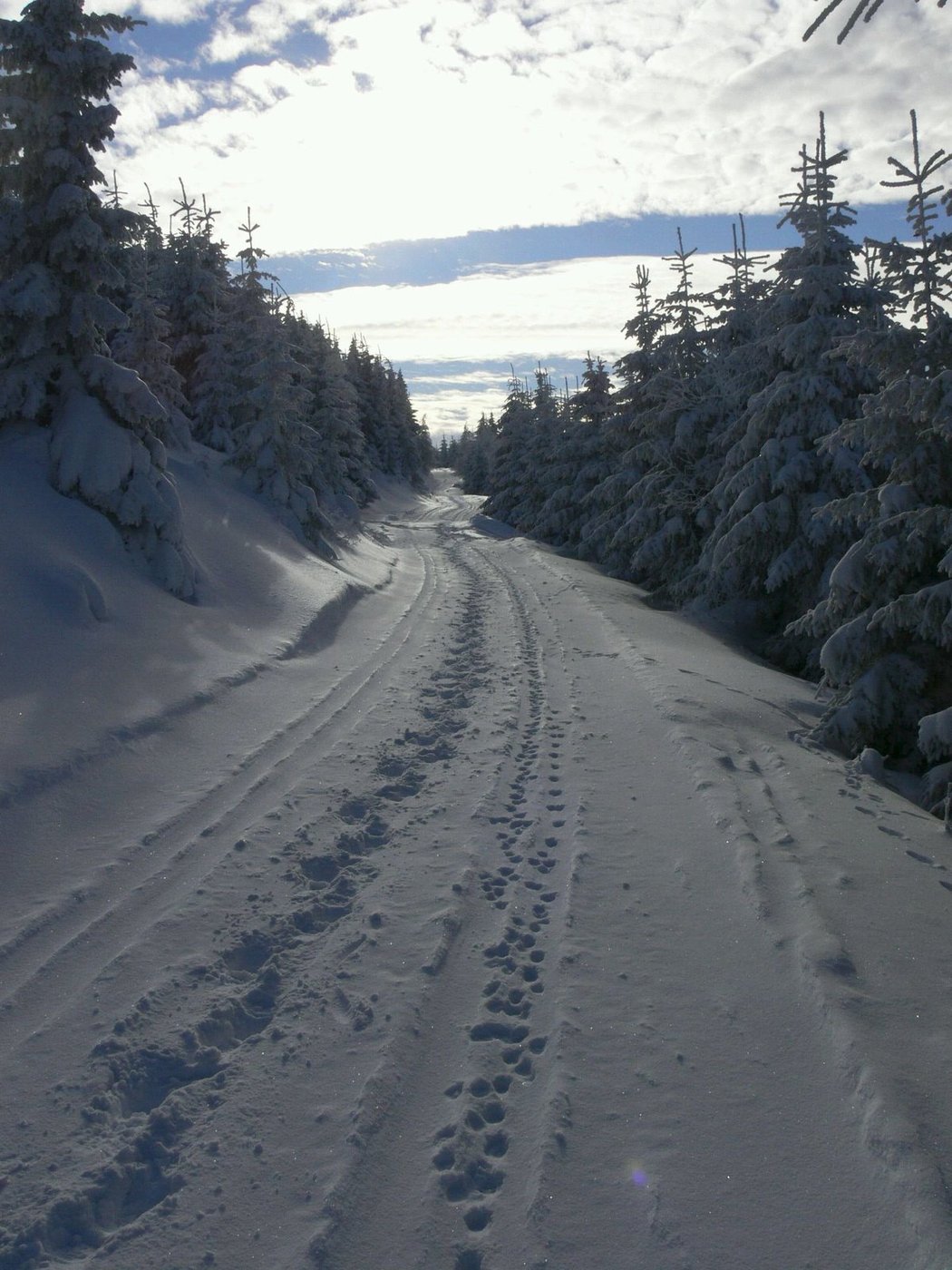 Petr Holínek - Na Dlouhé Stráně 30 km