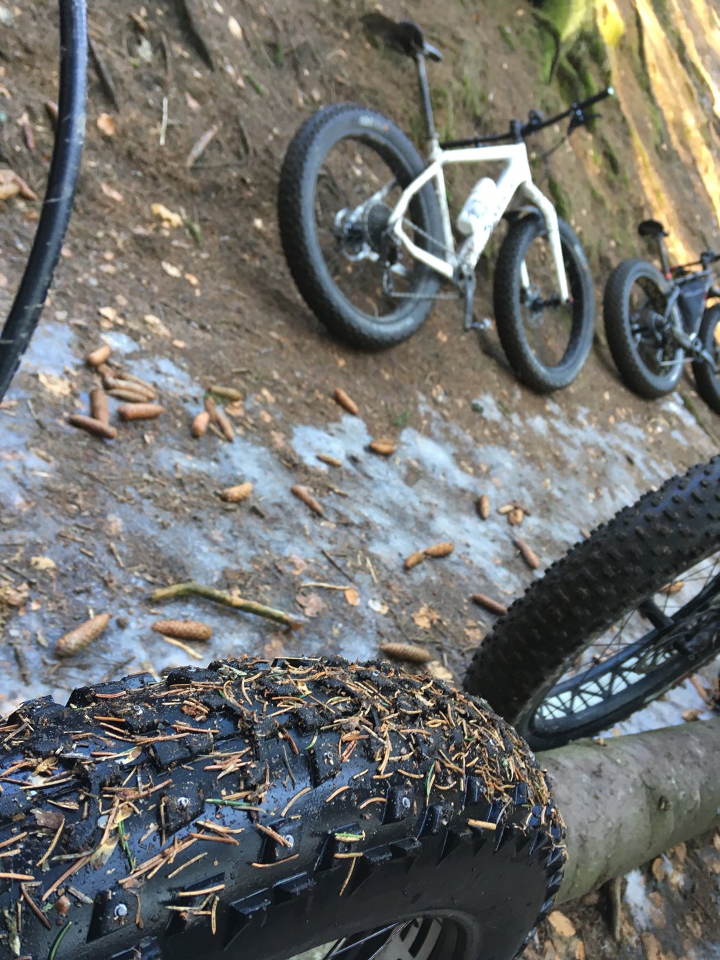 Kromě sněhu a ledu si fatbike skvěle poradí i s blátem a mokrým podložím