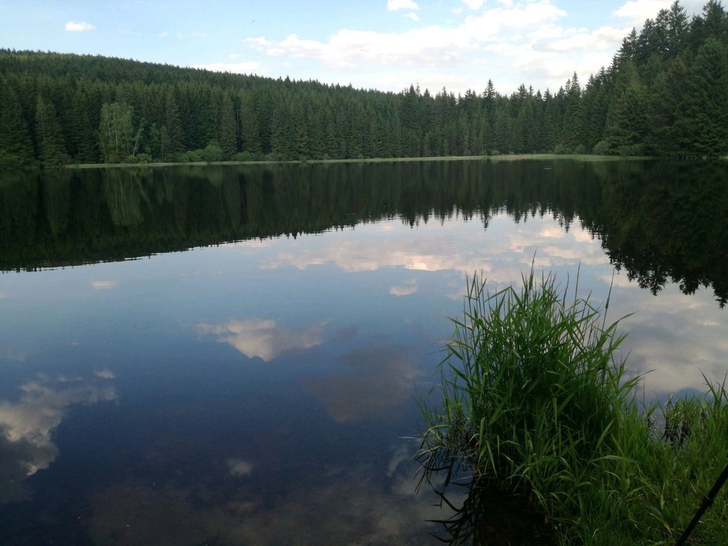 Karin Brůžková - Okruh v Novohradských horách