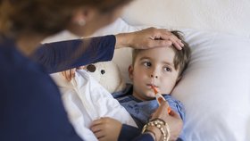 Česko zasáhla naplno chřipková epidemie.