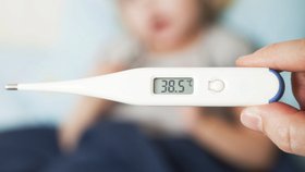 Česko zasáhla naplno chřipková epidemie.