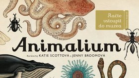 Animalium: Vítejte v muzeu! Kniha, kterou se vyplatí mít