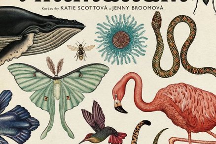 Knížka, která nás nadchla: Animalium prostě musíte mít