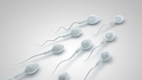 Jak vypadá odběr spermatu před vyšetřením kvality