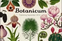 Botanicum vás potěší ilustracemi i množstvím informací