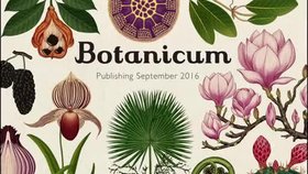 Botanicum vás potěší ilustracemi i množstvím informací