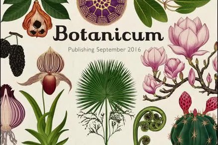 Botanicum vás potěší ilustracemi i množstvím informací