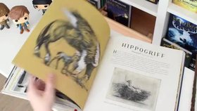 Pro fanoušky Harryho Pottera povinné čtení: Ilustrovaná encyklopedie fantastických zvířat