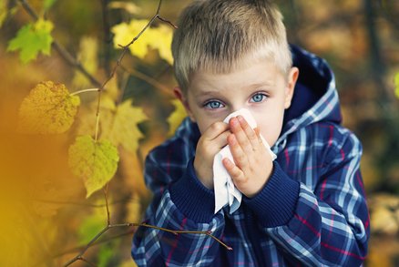 Babské rady a bylinky na podzimní kašel, rýmu a horečku u dětí