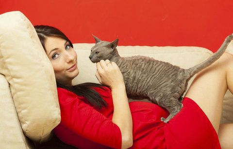 Těhotná žena a kočka: Je potřeba se bát toxoplazmózy? 