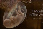 Pohled dovnitř: Těhotenství týden po týdnu aneb jak dítě v břiše roste
