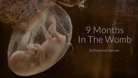 Pohled dovnitř: Těhotenství týden po týdnu aneb jak dítě v břiše roste