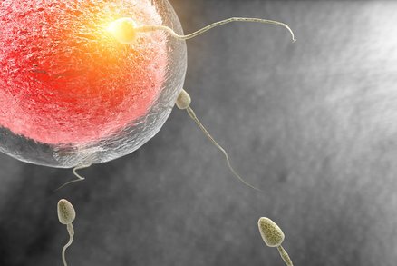 Ve 42 zkuste přirozené početí spíš než IVF, radí lékař. Proč? 