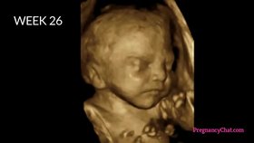 Jak roste miminko v břiše během 9 měsíců těhotenství