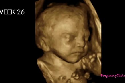 Celé těhotenství ve 4 minutách: Jak se vyvíjí miminko v děloze? 