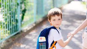 Rodiče dětí, které chtějí požádat o odsunutí školní docházky o rok, musí k žádosti předložit posudek z pedagogicko-psychologické poradny a potvrzení od lékaře či psychologa