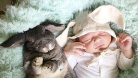 Adoptovaný chlapeček a rodinný králík