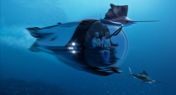 Sporťák pod hladinou: Holanská ponorka ujede i delfínům