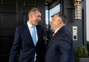 Před návštěvou Miloše Zemana se Viktor Orbán stihl sejít ještě s expremiérem Andrejem Babišem. (ANO)