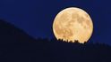 Superúplněk: Měsíc nad lesem