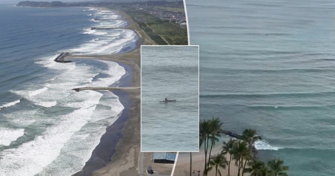 Chvíli před tsunami na Havaji vyrazil na moře surfař