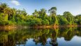 Horní tok řeky Surinam