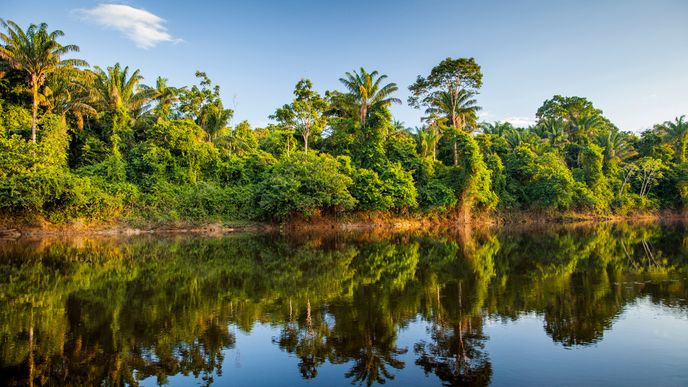 Surinam: Horní tok řeky Surinam