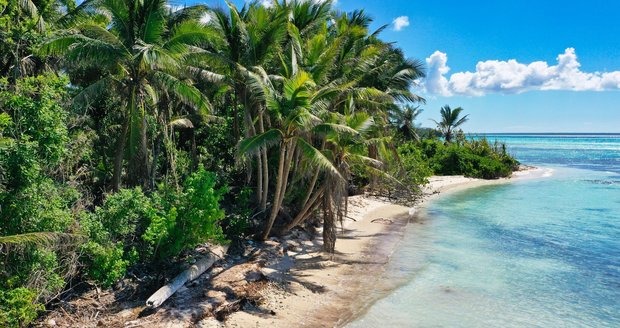 Korban Republik Ceko & Slovakia Korban Republik Ceko & Slovakia