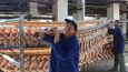 Sušené kachny jsou v Číně dobrý byznys