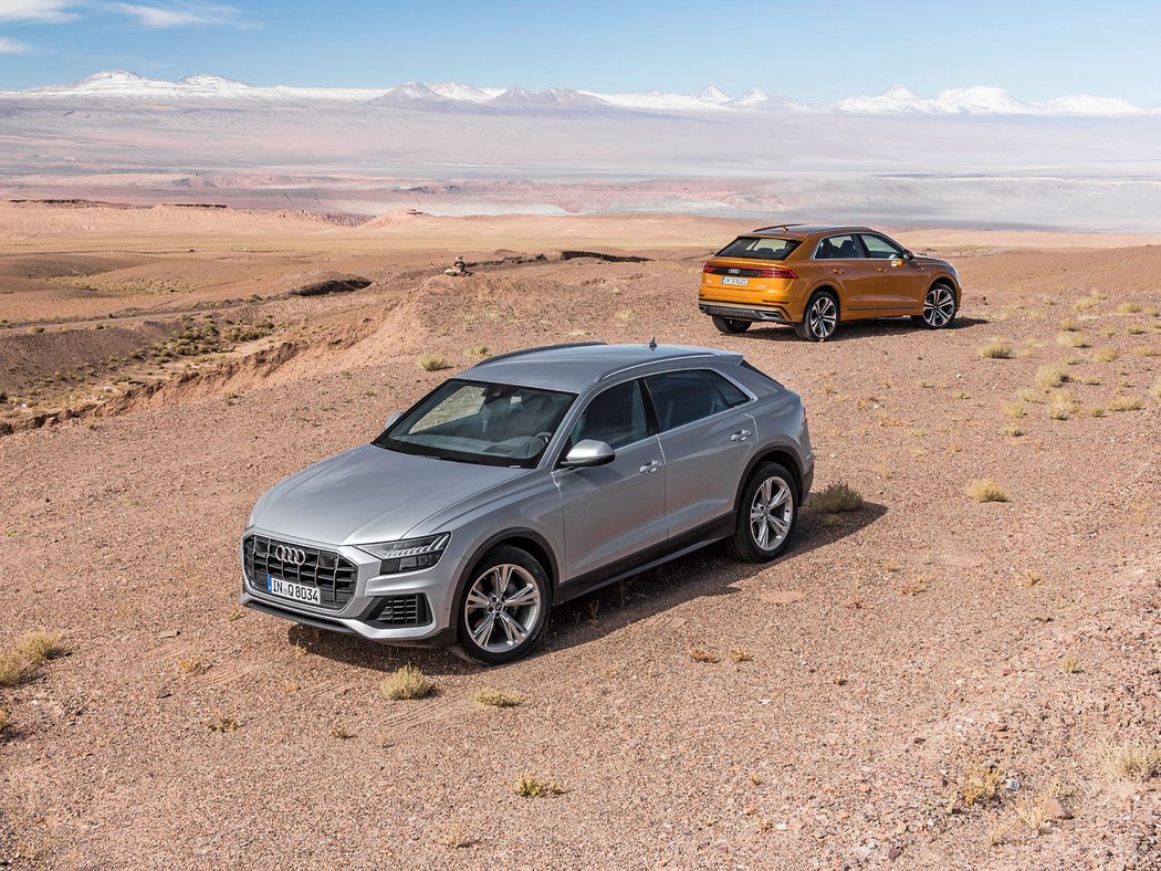 Audi Q8