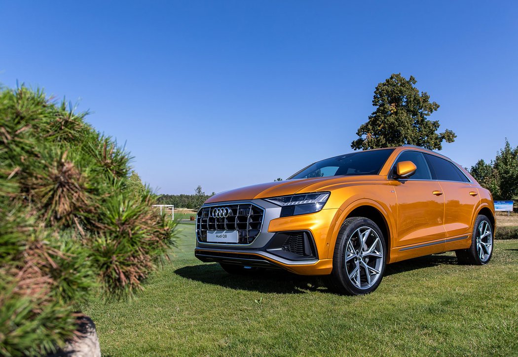 Audi Q8