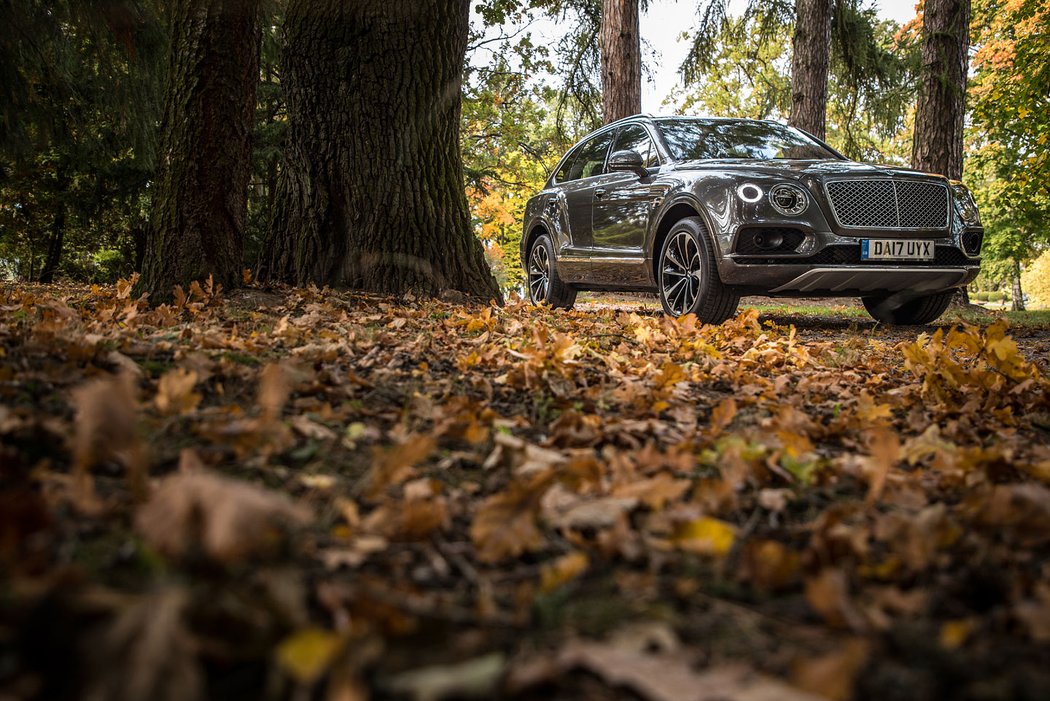 suv bentley luxusni