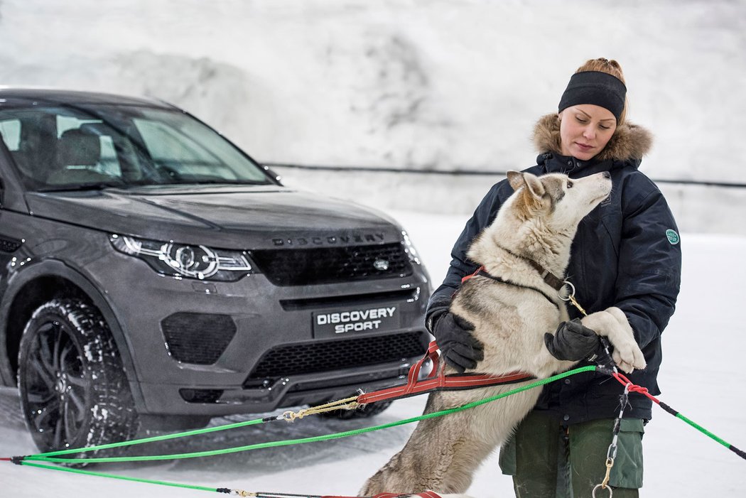 Land Rover Discovery Sport závodil ve sněhovém tunelu se psím spřežením