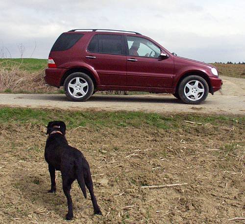 Mercedes-Benz ML