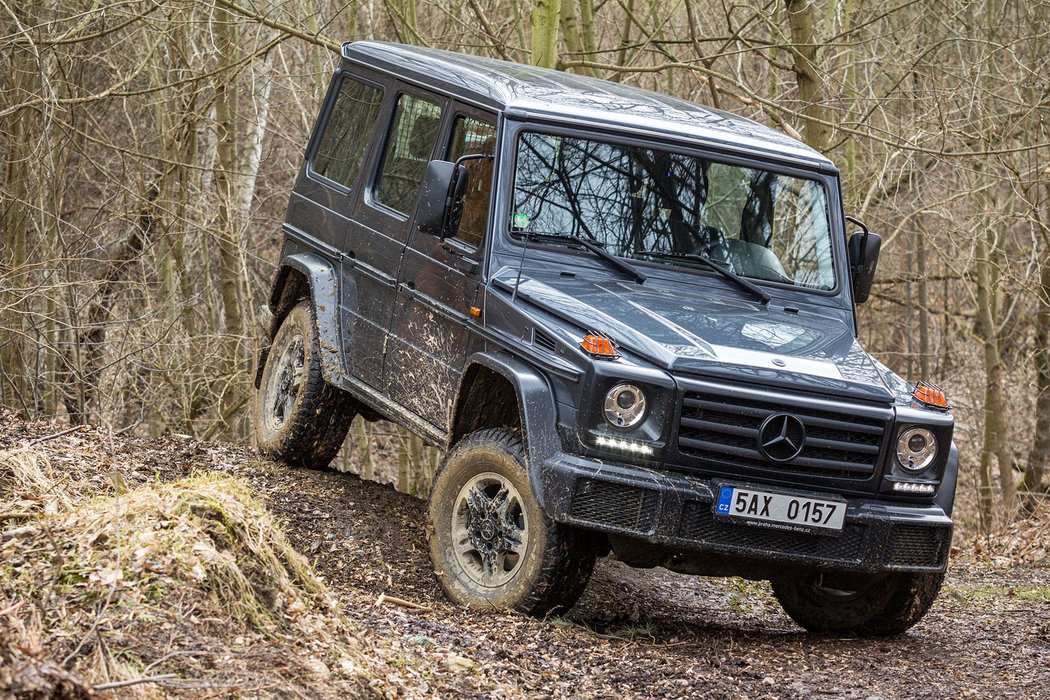 Mercedes-Benz G 350d Professional