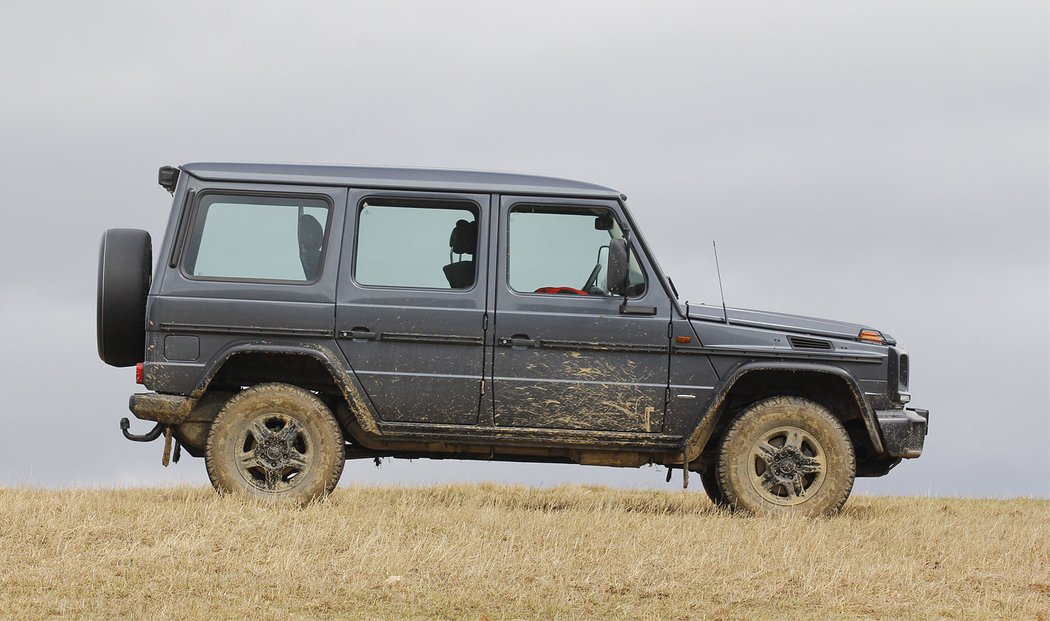 Mercedes-Benz G 350d Professional