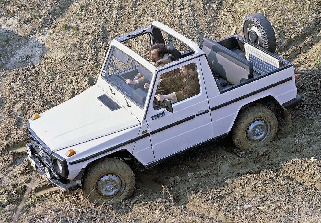 Mercedes-Benz 230 G Cabrio (1979)