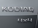 Škoda Kodiaq: Proč se tak jmenuje? Medvěd Kodiak je prý rodinný typ...