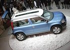 Škoda chce od roku 2010 montovat a prodávat v Indii model Yeti