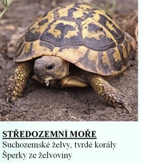 Rizikové suvenýry: Jedete na dovolenou? Nevozte si problémy!