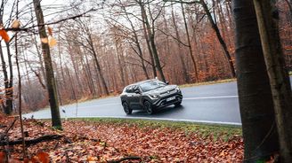 Suzuki e Vitara Suzuki e Vitara