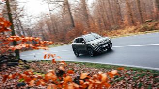 Suzuki e Vitara Suzuki e Vitara