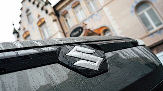 Suzuki e Vitara Suzuki e Vitara