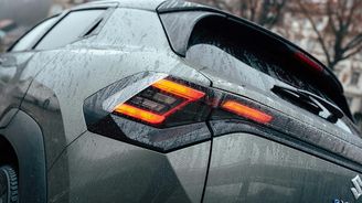 Suzuki e Vitara Suzuki e Vitara