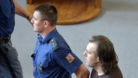 Petru Skopalíkovi hrozí až 16 let vězení