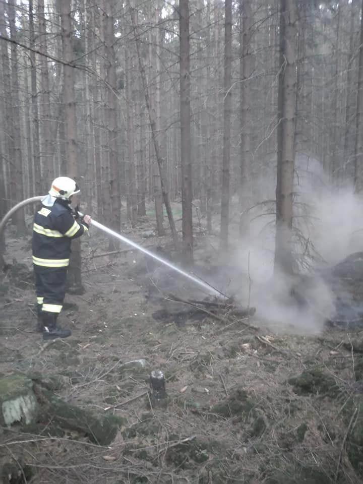 Požár hrabanky v lese naštěstí oznámil pozorný občan včas, bylo tak rychle uhašeno.